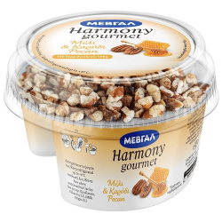 Μεβγάλ γιαούρτι harmony Gourmet Μέλι και Καρύδι Pecan 160γρ.