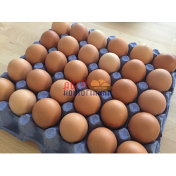 Αυγά Κοντογιάννη καρτέλα 30άδα large