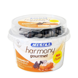 Μεβγάλ γιαούρτι harmony Gourmet καραμέλα αλατ. 160γρ.